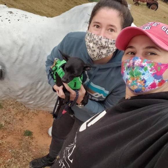 Meet your Posher, Alysha - Picture 1 of 1